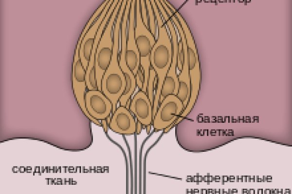 Black sprut телеграм бот