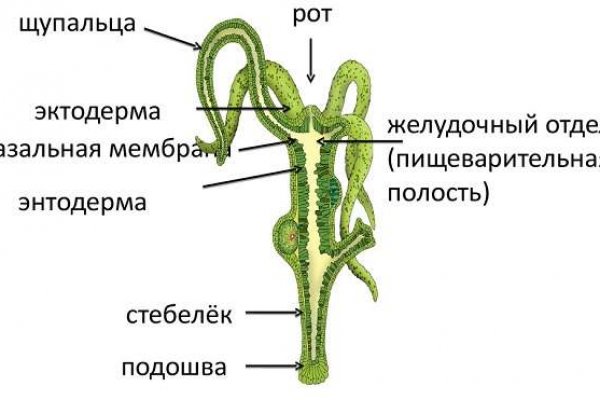 Блэкспрут ссылка blacksprut page bs2web top